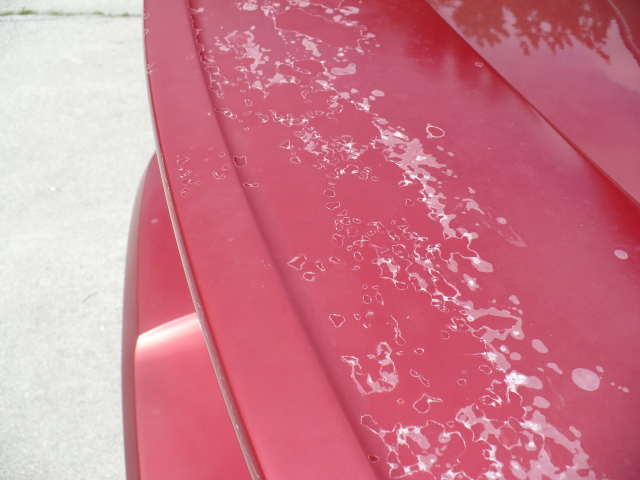 Auto body repair & detailing: Spoiler Clear Coat 2001 Mustang, clear-coat, clear coat