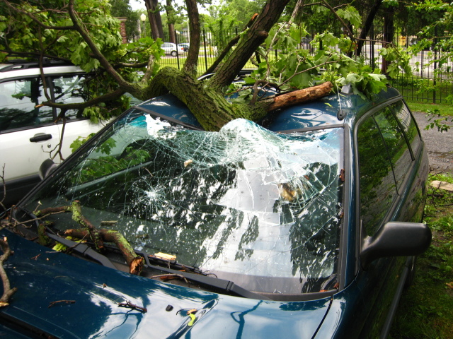Auto body repair & detailing: Large Tree limb fell on my car.  :(, subaru outback, body man