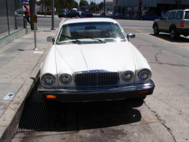 Jaguar Repair: is my 1986 XJ6 worth saving??, head gasket, head gaskets