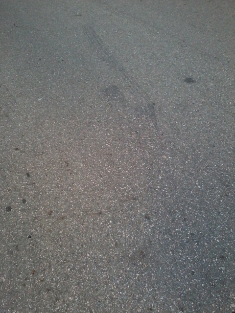 Transportation and Vehicle Safety: skid marks and tread marks, forensic, accident