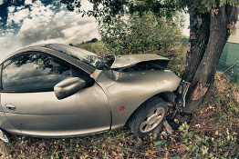 Car crashed into tree