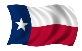 Texas State Flag