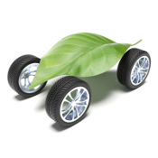 Green leaf with tires