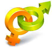 Gender Matters: Why Men Pay More for Car Insurance