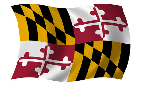 Maryland state flag