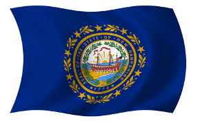 New Hampshire state flag