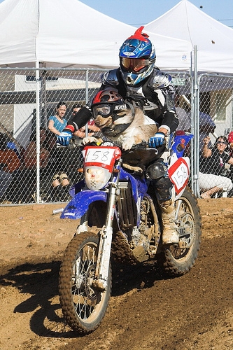 2 Stroke Engine Vs. 4 Stroke Engine