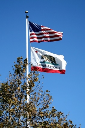 How to Check California License Plates