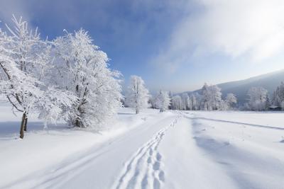 Safest Cars to Drive in the Snow (with Pictures)