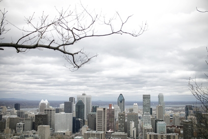 How to Check the Status of a Traffic Ticket in Montreal