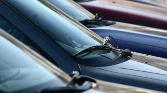 Row Of Cars For Sale