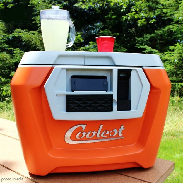 multifunctional cooler