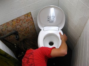 Fixing a worn out or damaged RV toilet seal is not difficult.