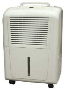 soleus Dp1-30-03