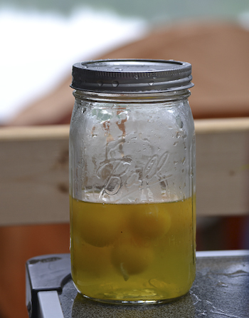 eggs in a jar