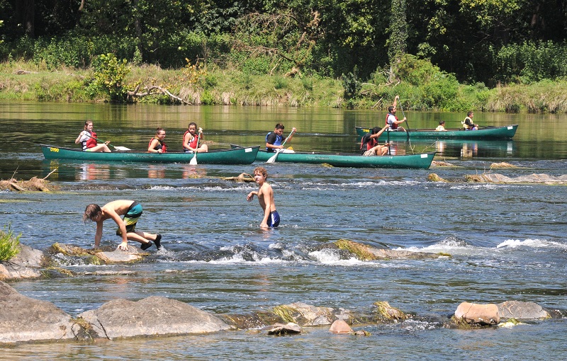 shenandoahriverfest.org