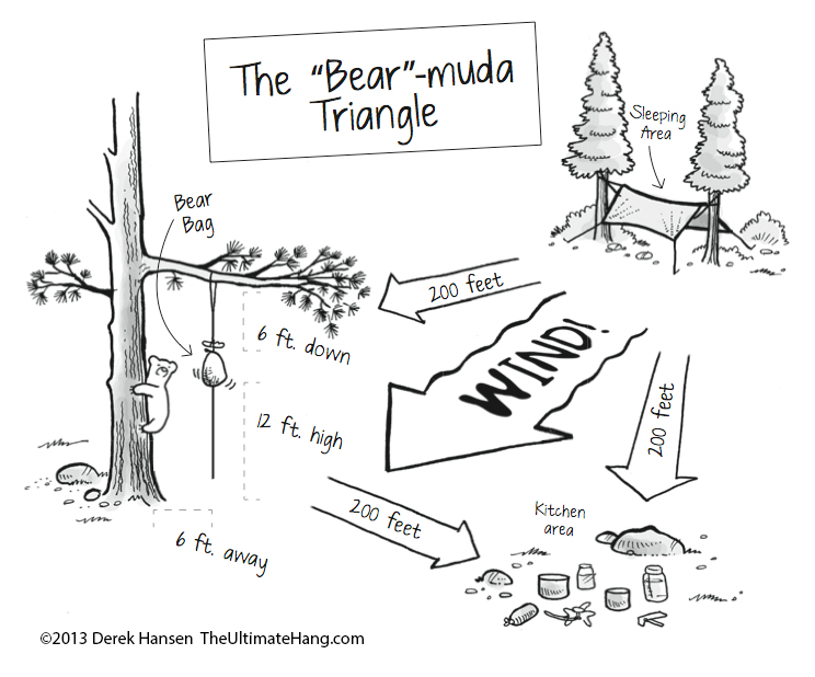bear-muda-triangle-bear-bag