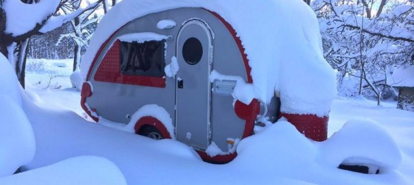 how-to-winterize-your-little-guy-604x270