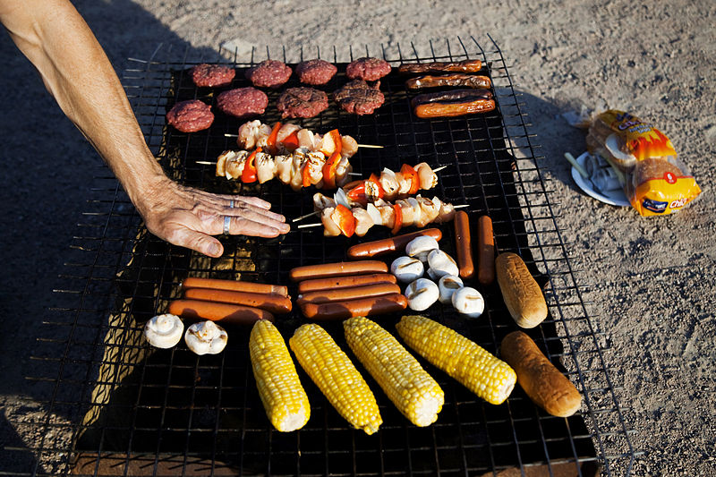 800px-Grilling,_Karin_Beate_Nosterud