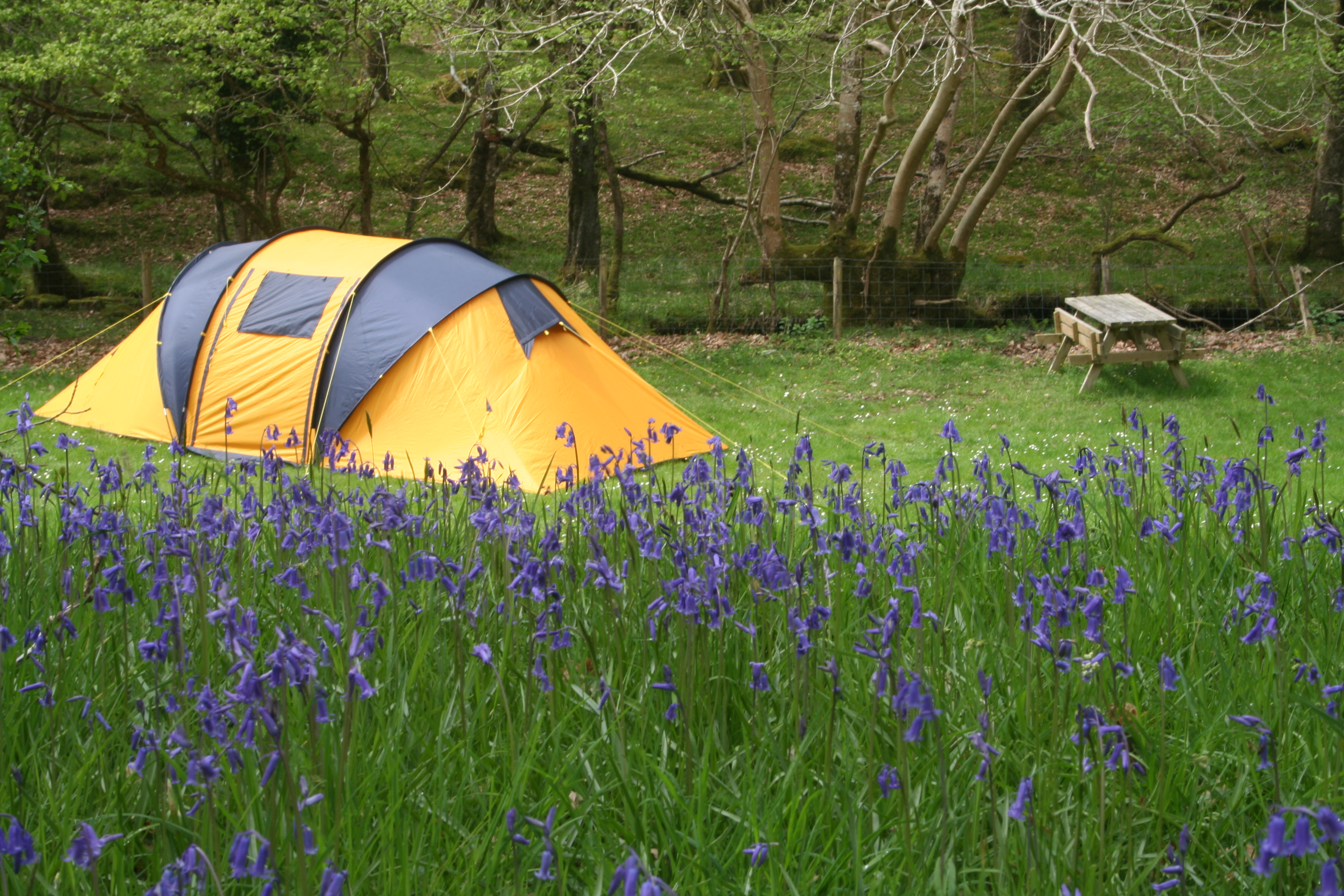 camping like a pro