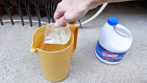 Bleach and water solution