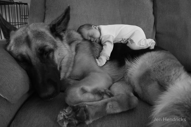dog and baby asleep
