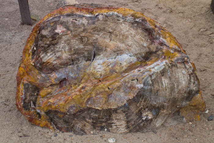 Escalante-700x466
