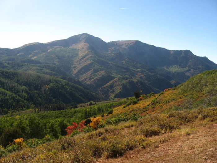 NeboScenic-Overlook-700x525