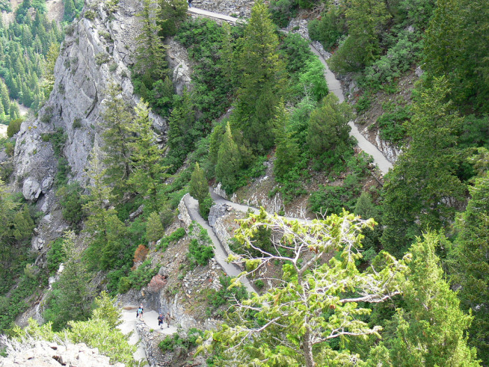 timp-700x525