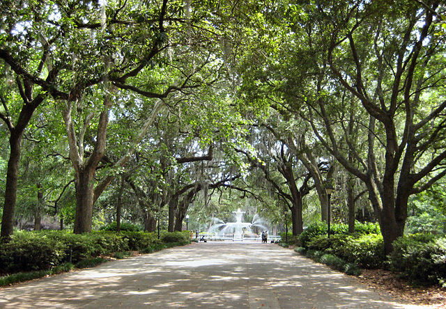 640px-Savannah_Forsyth_Park