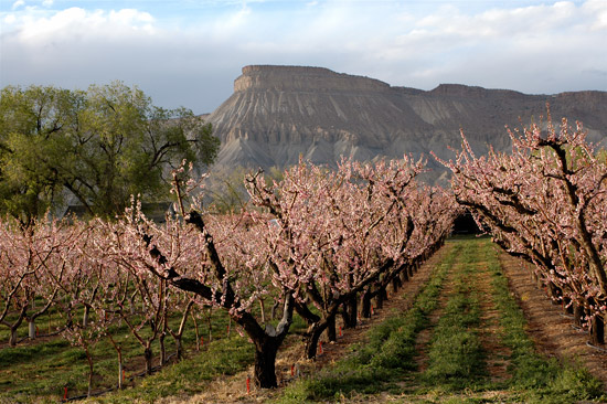 11 Road Trips That Are A Short Drive From Denver