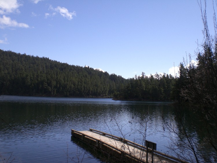 Mountain_Lake_in_Moran_State_Park