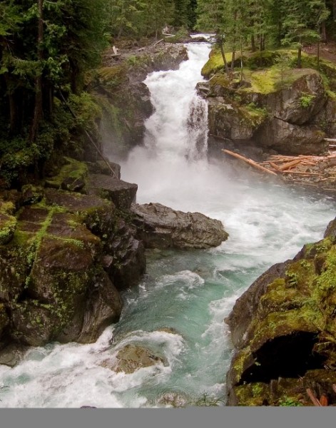 Ohanapecosh_River-Silver_Falls