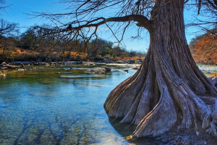 Guadalupe State Park
