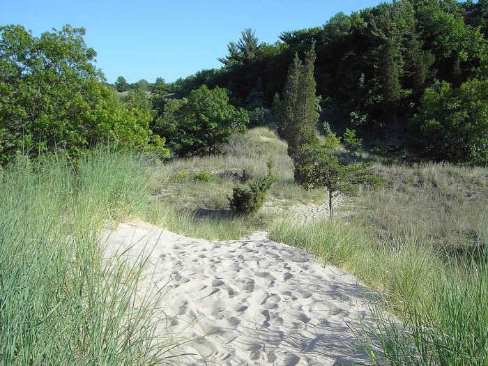 indiana dunes