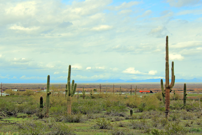 680-desert-along-interstate-10-arizona-20-oct-14