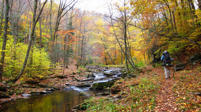 spruce-knob-700x393