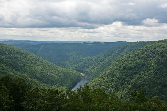 coopers-rock-state-forest
