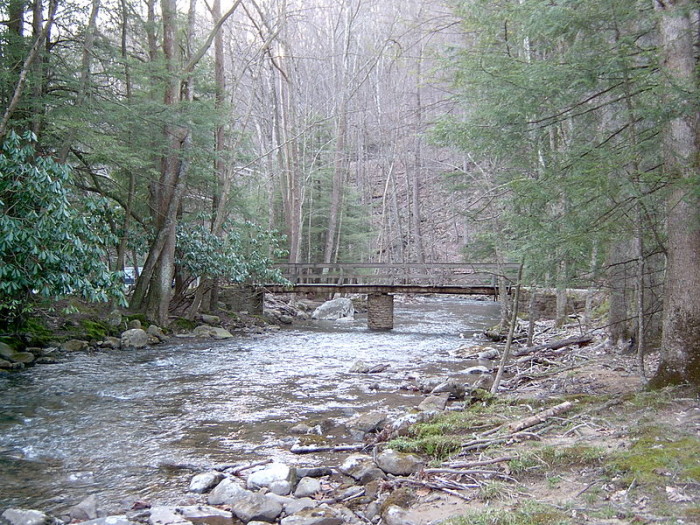 800px-Holly_River_State_Park-700x525