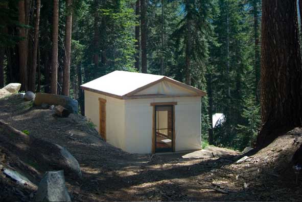 sequoia sierra