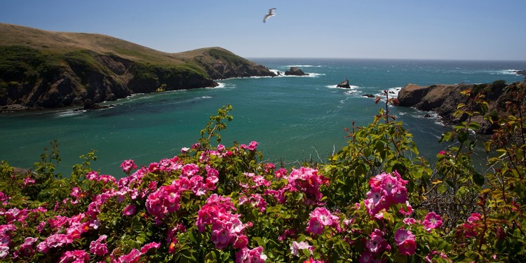 mendocino-coast