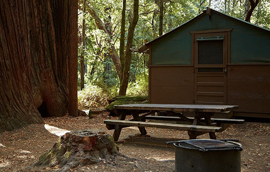 big-basin-redwoods-park-camping
