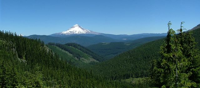 640px-Mt_Hood_Natl_Forest