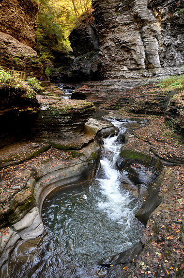 watkins glen