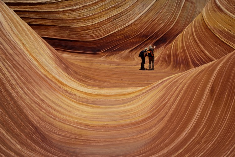 the wave