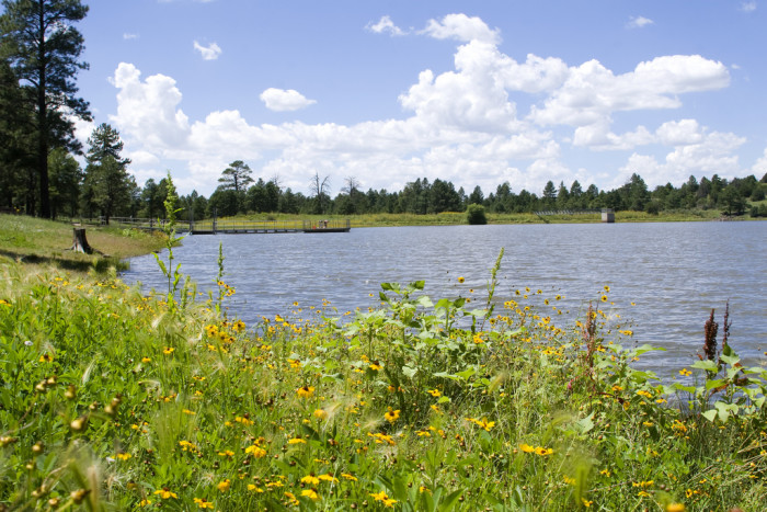 4927790282_fb3a6e7294_b-700x467