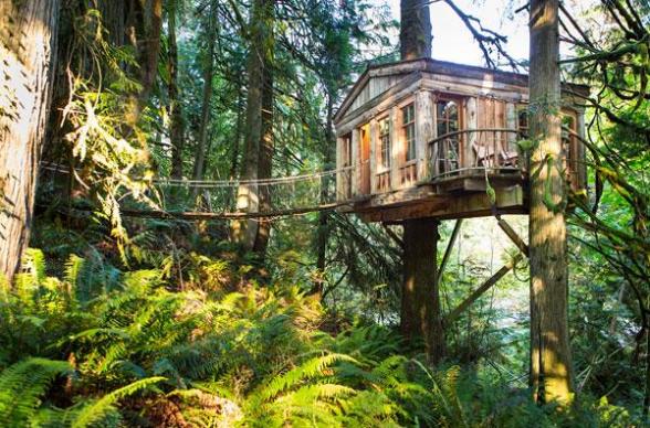 Bustle_TreehousePoint