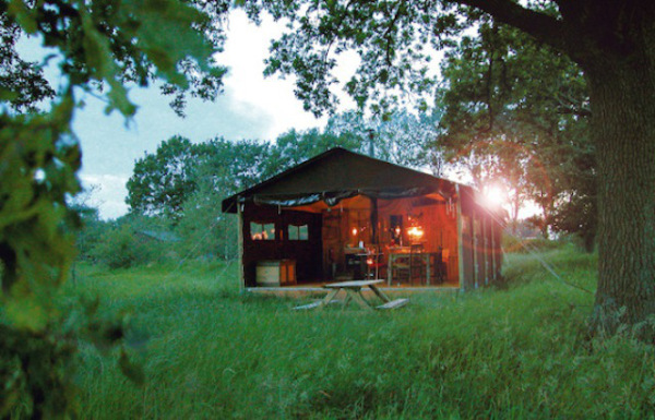 kinnikinnick-camping