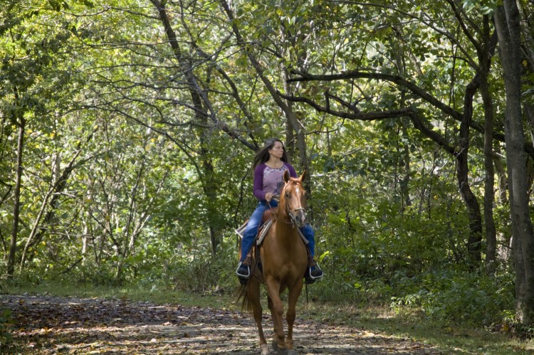 Horseback_Riding_at_New_River_Trail_STate_Park_(8004396549)