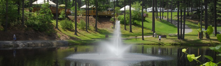 Pond1-932x280